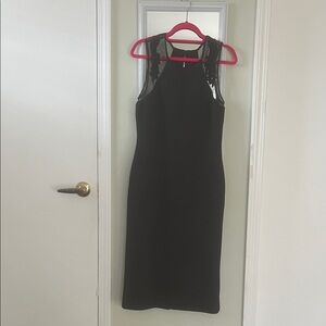 Dress the Population Black and Sparkly Dress